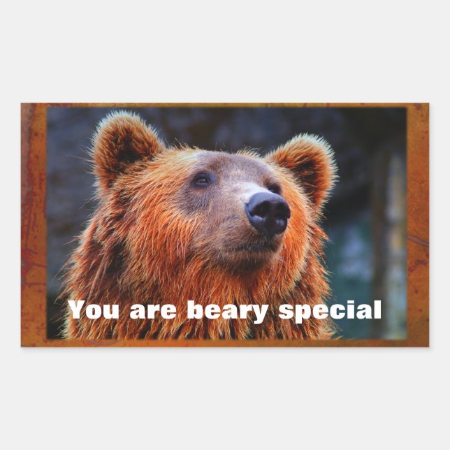 Pegatina Rectangular Eres Beary Special Brown Bear Wildlife Retrato (Anverso)