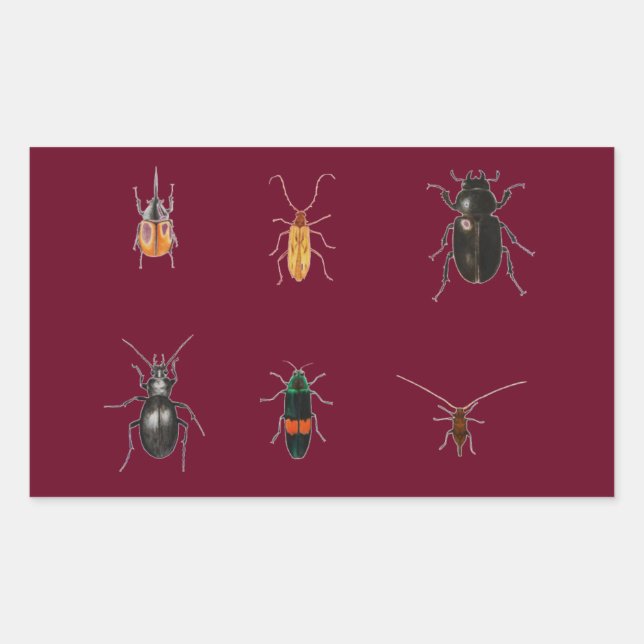 Pegatina Rectangular Errores 2011 (Anverso)