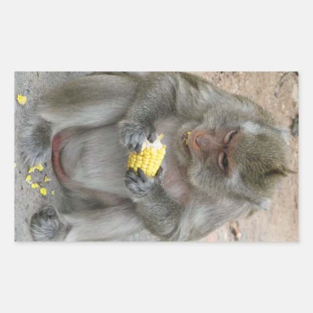 Pegatina Rectangular ¡Es mío! ... Mono Macaque tailandés salvaje (Anverso)