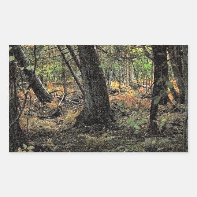 Pegatina Rectangular Escena forestal de otoño (Anverso)