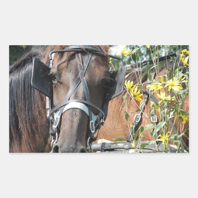 Pegatina Rectangular Esperando caballo amoroso (Anverso)