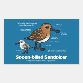 Pegatina Rectangular Estadísticas de Sandpiper facturadas por parodia