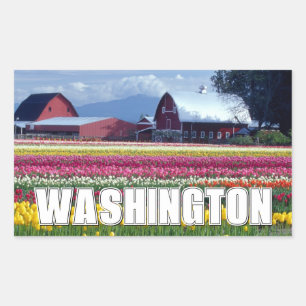 Pegatina Rectangular Estado de Washington   Campo de Tulipanes