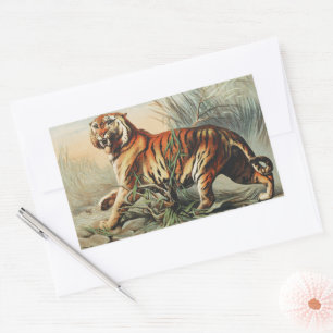 Pegatina Rectangular Estampa de arte naturalista del tigre real de Beng