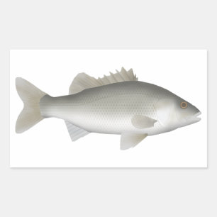 Pegatina Rectangular Estuario Perch