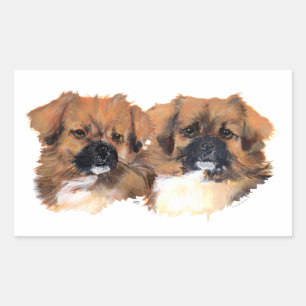 Pegatina Rectangular Estudio de la cabeza de Spaniels Tibetanos