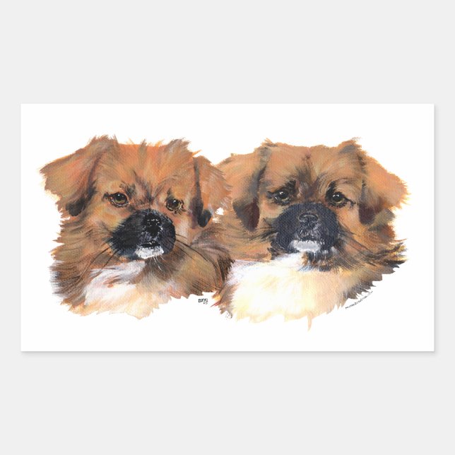 Pegatina Rectangular Estudio de la cabeza de Spaniels Tibetanos (Anverso)