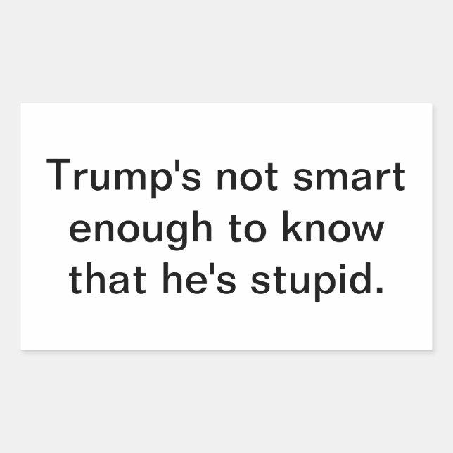 Pegatina Rectangular Estúpido Trump No Es Inteligente Hankamer Artjunkh (Anverso)