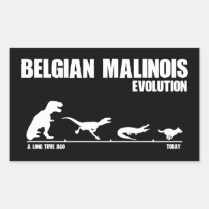 Pegatina Rectangular Evolución belga de Malinois