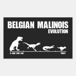 Pegatina Rectangular Evolución belga de Malinois
