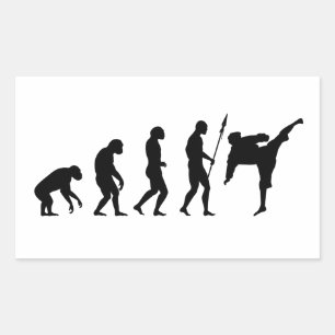 Pegatina Rectangular evolución de karate kate