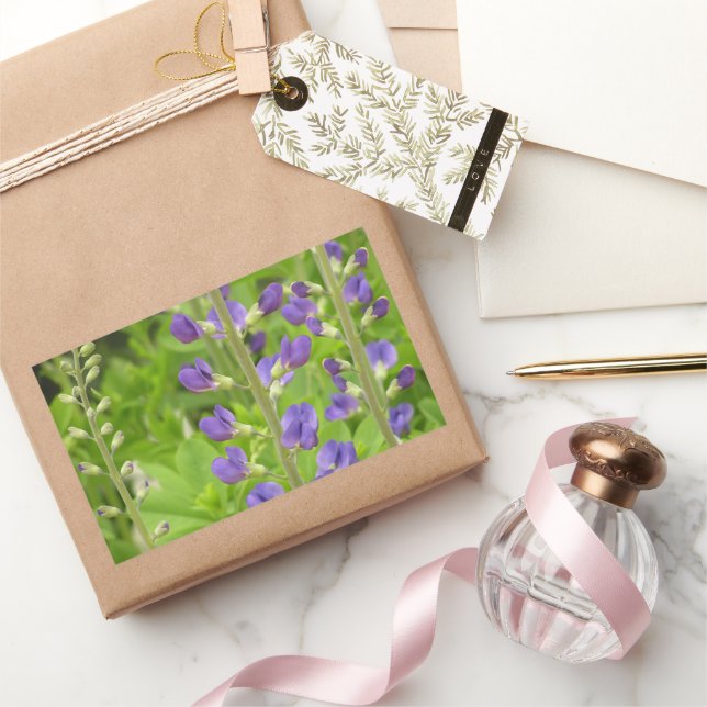 Pegatina Rectangular Falso índigo (Baptisia australis) (Regalar)