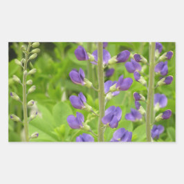Pegatina Rectangular Falso índigo (Baptisia australis)