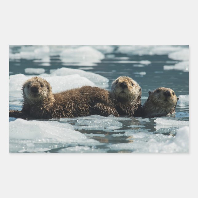 Pegatina Rectangular Familia Sea Otter (Anverso)