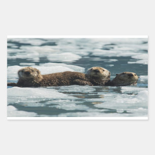 Pegatina Rectangular Familia Sea Otter