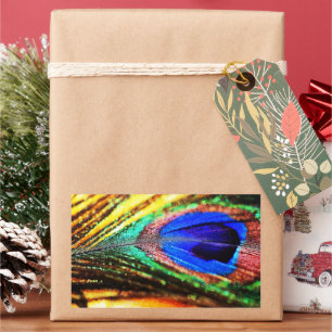 Pegatina Rectangular Feather por Shirley Taylor