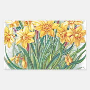 Pegatina Rectangular fecha rsvp flores narciso amarillo vintage