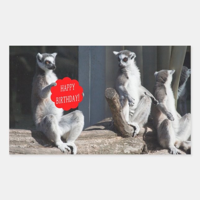 Pegatina Rectangular Feliz cumpleaños Katta (Anverso)