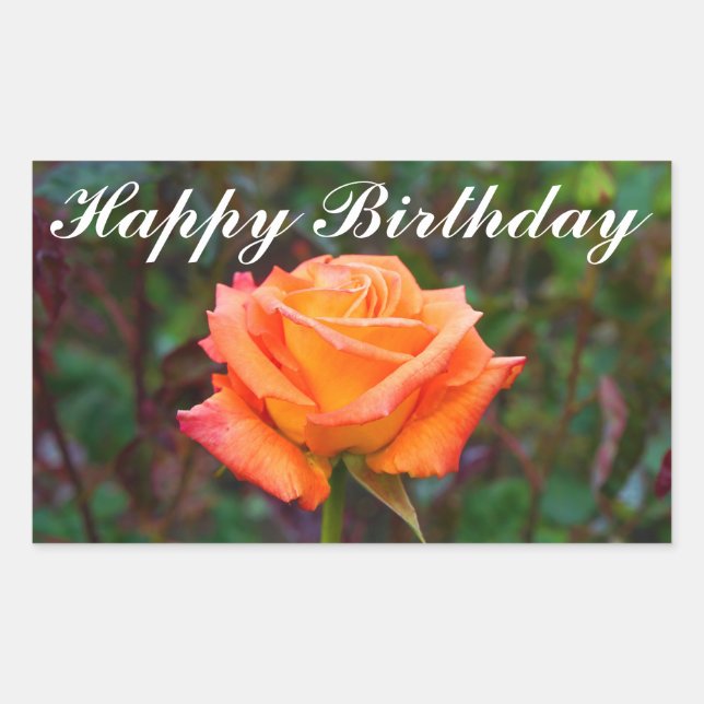 Pegatina Rectangular Feliz cumpleaños, Rosa caribeño #2 Pegatinas (Anverso)