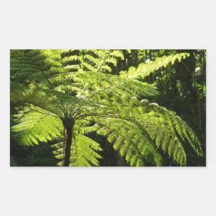 Pegatina Rectangular Fern arbolado en la selva tropical