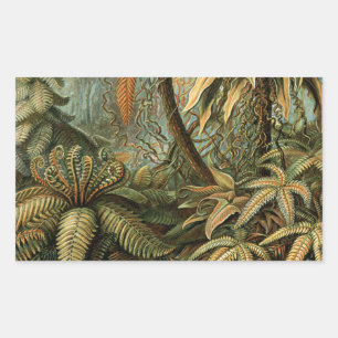 Pegatina Rectangular Ferns Palm Tree Antique Botanica Ferns Art