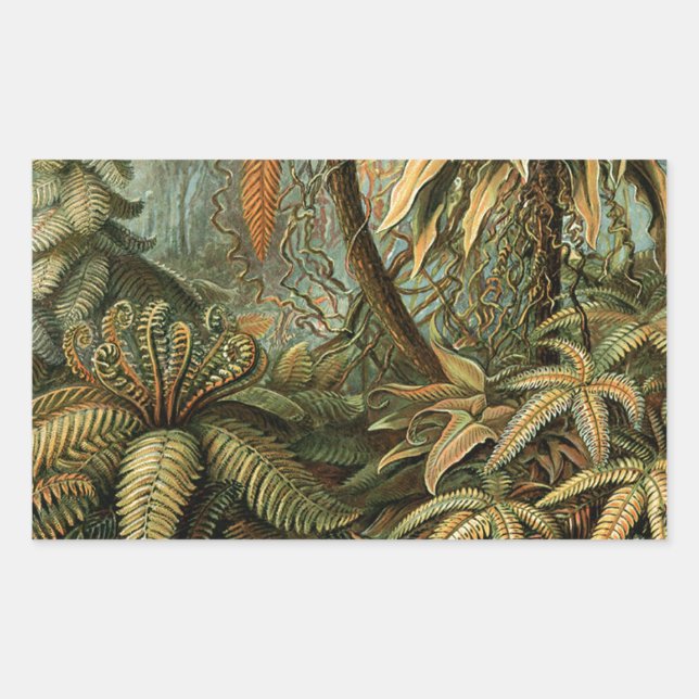 Pegatina Rectangular Ferns Palm Tree Antique Botanica Ferns Art (Anverso)