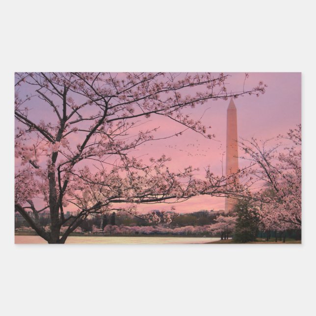 Pegatina Rectangular Festival Washington Monument Cherry Blossom (Anverso)