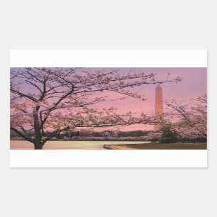 Pegatina Rectangular Festival Washington Monument Cherry Blossom
