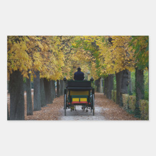 Pegatina Rectangular Fiaker En Schönbrunn, Wien Österreich