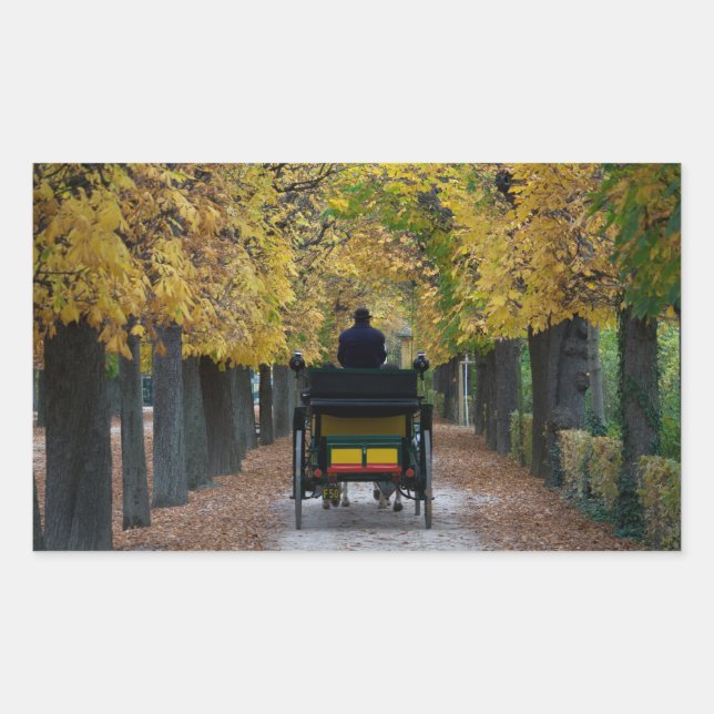 Pegatina Rectangular Fiaker En Schönbrunn, Wien Österreich (Anverso)