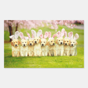 Pegatina Rectangular Fila de conejitos cachorros