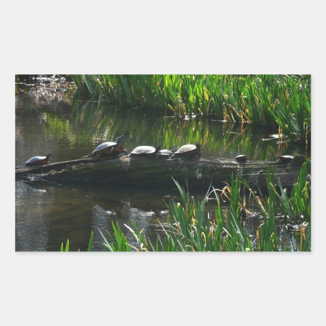 Pegatina Rectangular Fila de Tortugas Foto Verde de la Naturaleza (Anverso)