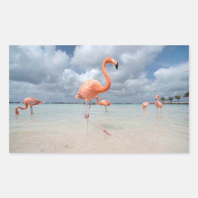 Pegatina Rectangular Flamingos Beach Aruba (Anverso)