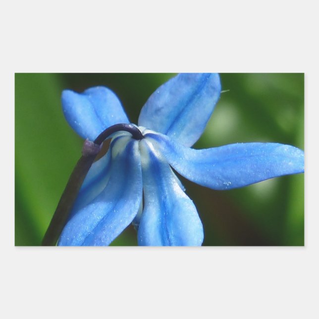 Pegatina Rectangular Flor azul (Anverso)
