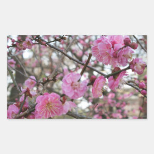 Pegatina Rectangular Flor de cerezo rosado / Sakura サ・(桜).
