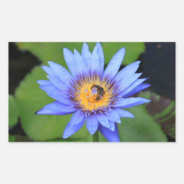 Pegatina Rectangular Flor de Lotus (Anverso)