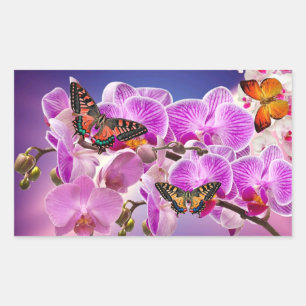 Pegatina Rectangular Flor de orquídea morada rosa