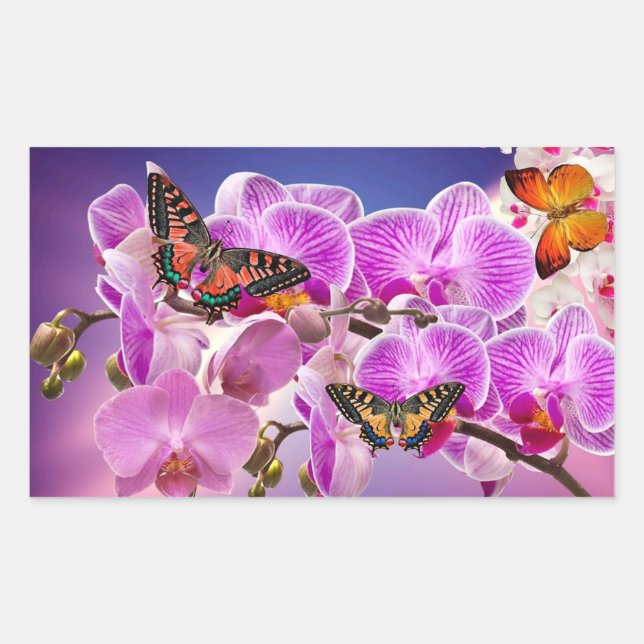 Pegatina Rectangular Flor de orquídea morada rosa (Anverso)