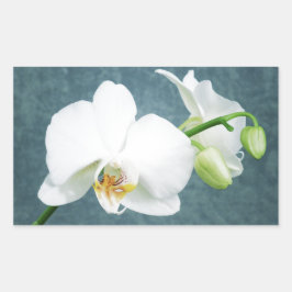 Pegatina Rectangular Flor de orquídeas blancas Zen