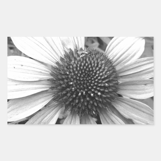 Pegatina Rectangular Flor en blanco y negro (Anverso)