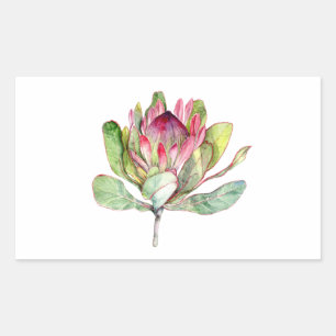 Pegatina Rectangular Flor Protea