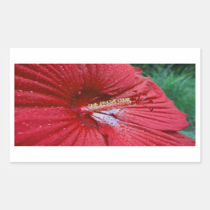 Pegatina Rectangular Flor roja hibiscus con gota de lluvia