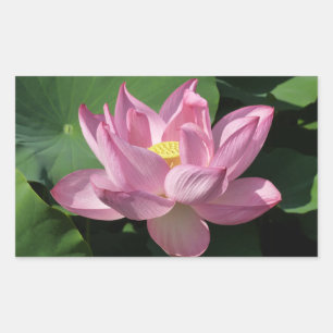 Pegatina Rectangular Flor rosa Lotus IV