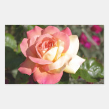 flor rosa rosa bonito y amarilla. Floral