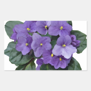 Pegatina Rectangular Flor violeta violeta en el jardín africano