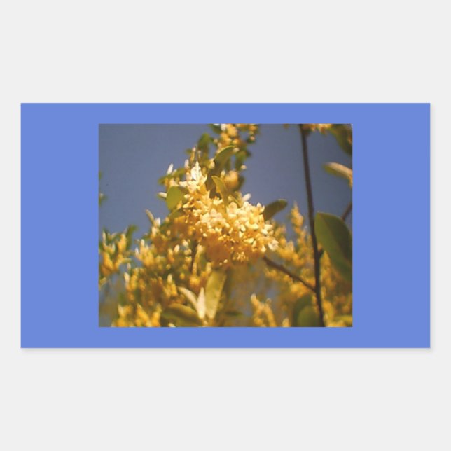 Pegatina Rectangular Flora de verano de campo (Anverso)