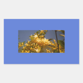 Pegatina Rectangular Flora de verano de campo