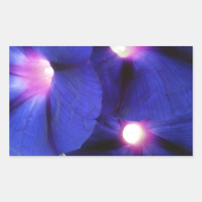 Pegatina rectangular floral (Anverso)