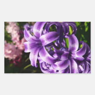 Pegatina Rectangular Floral azul de Hyacinto I primavera