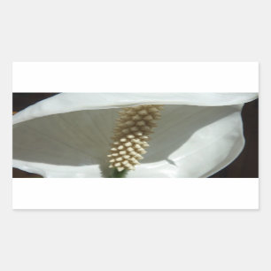 Pegatina Rectangular Floral blanca elegante de Lily de la Paz